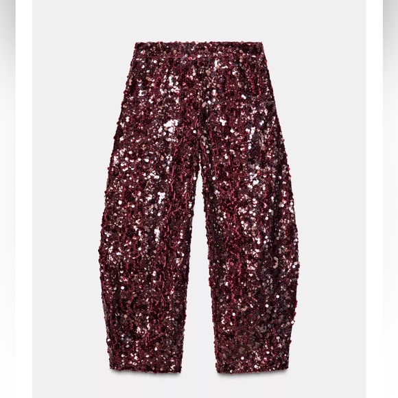 Zara Burgundy Sequin Pants - Picture 11 of 11